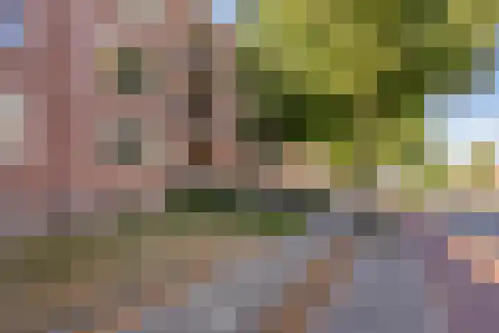 Jeroen Boschlaan 154 Eindhoven thumbnail 24