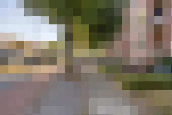 Jeroen Boschlaan 154 Eindhoven thumbnail 25