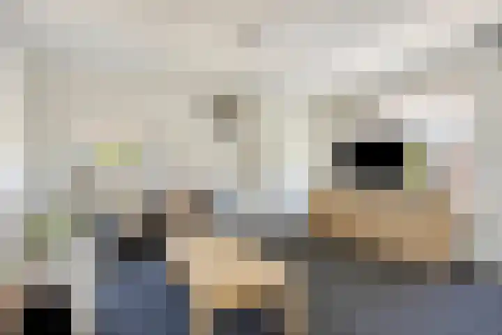 Jeroen Boschlaan 154 Eindhoven thumbnail 7