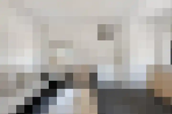 Jeroen Boschlaan 154 Eindhoven thumbnail 8