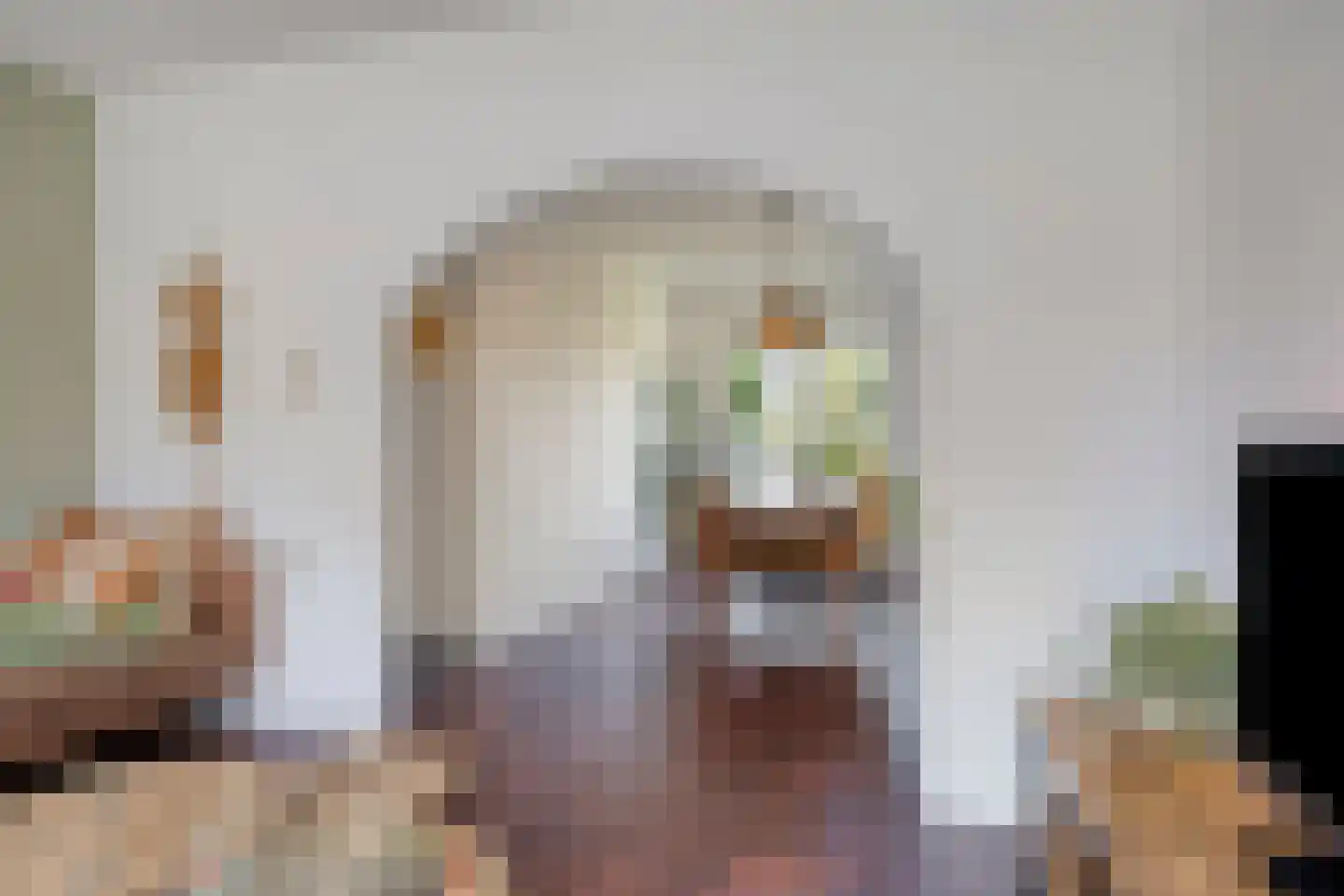 Jeroen Boschlaan 162 Eindhoven thumbnail 15