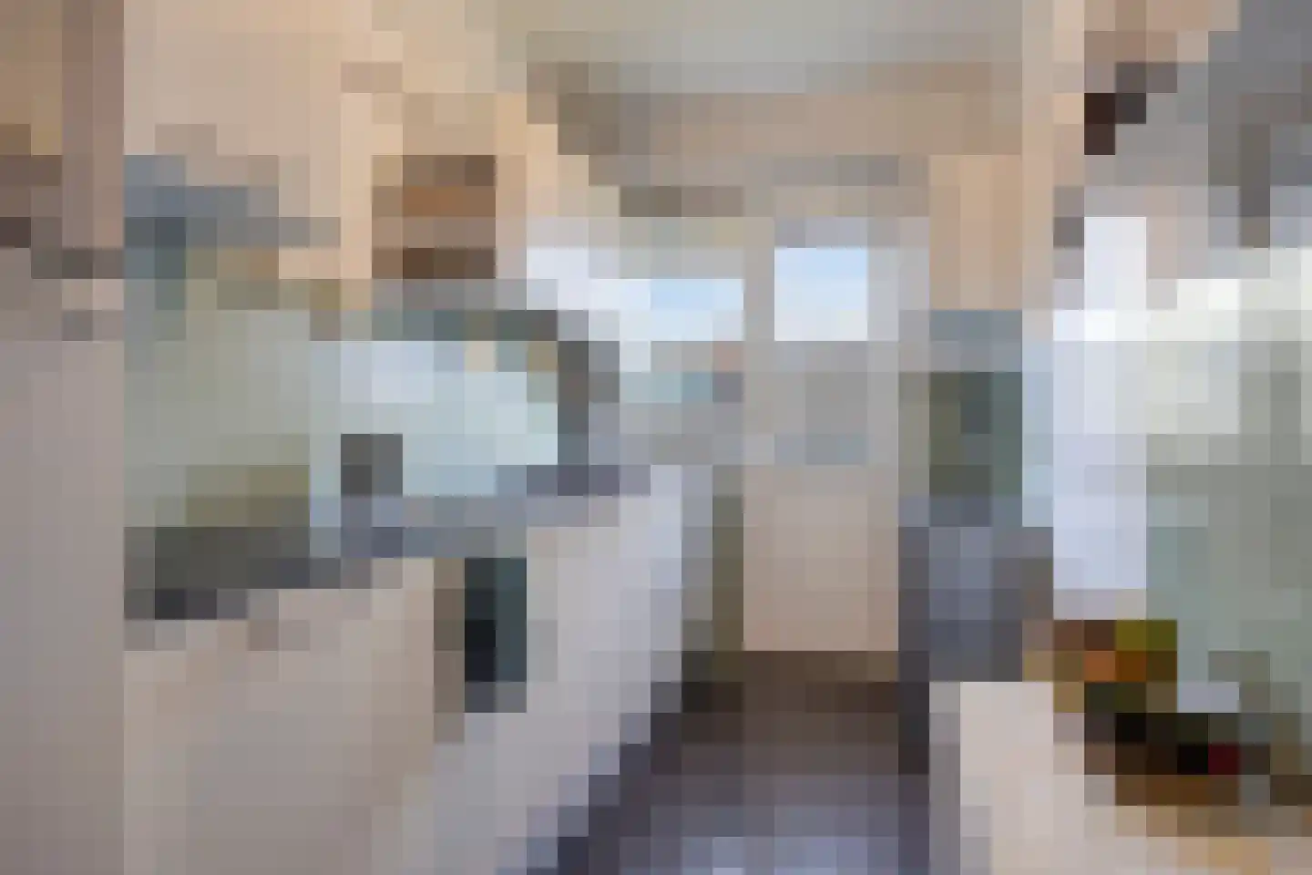 Jeroen Boschlaan 162 Eindhoven thumbnail 21