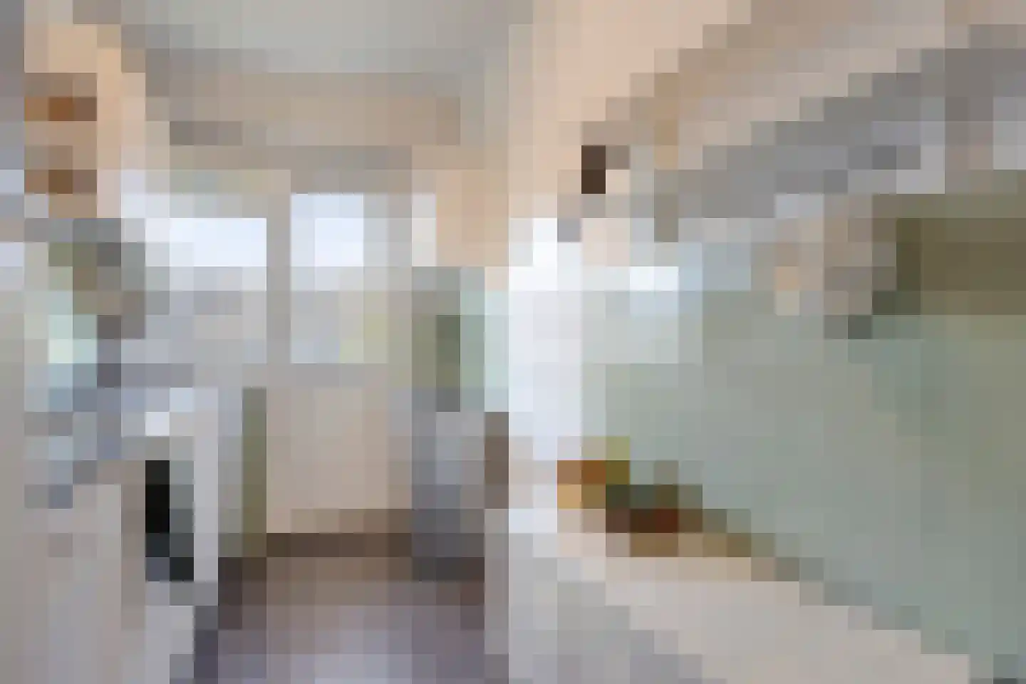 Jeroen Boschlaan 162 Eindhoven thumbnail 22