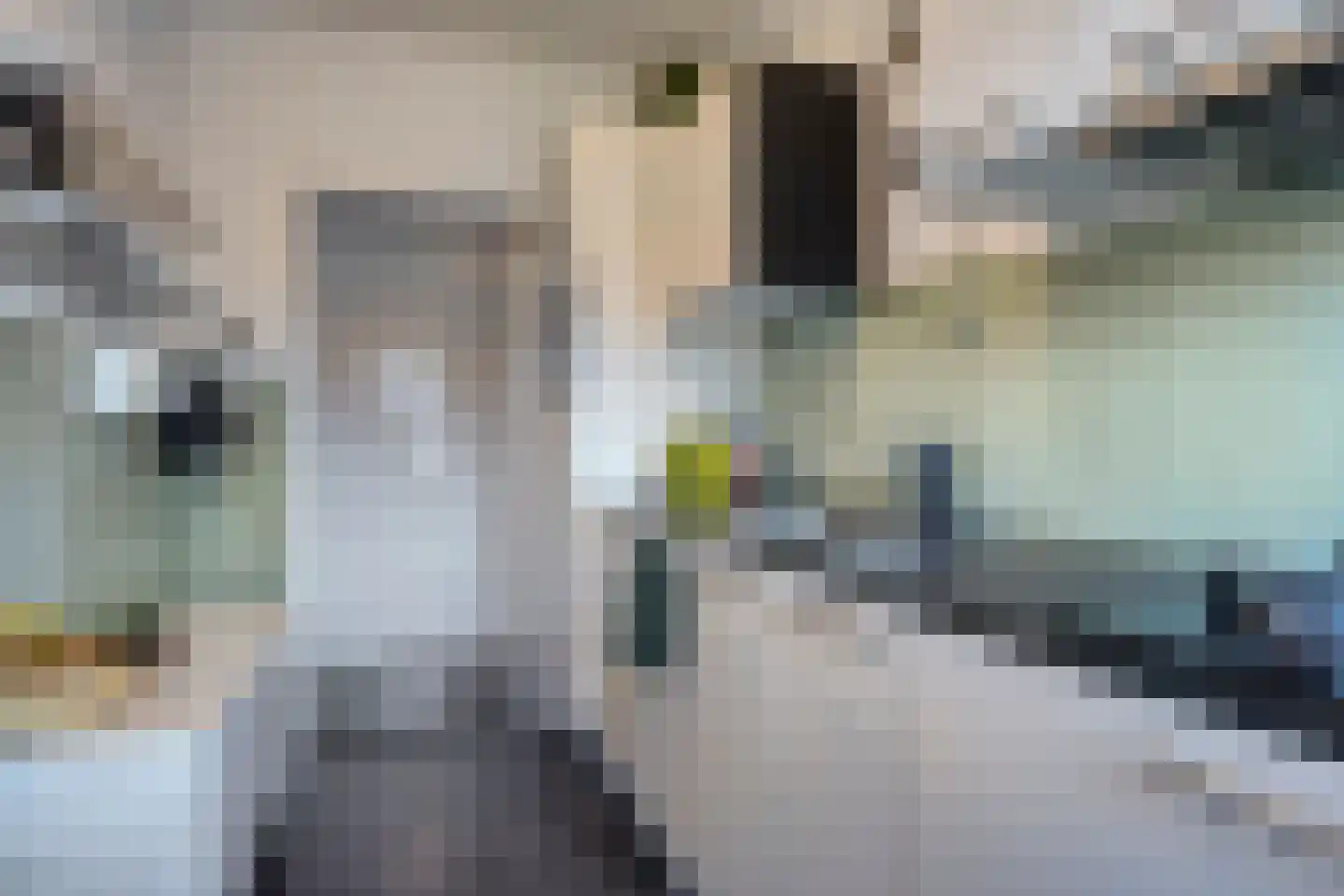Jeroen Boschlaan 162 Eindhoven thumbnail 23