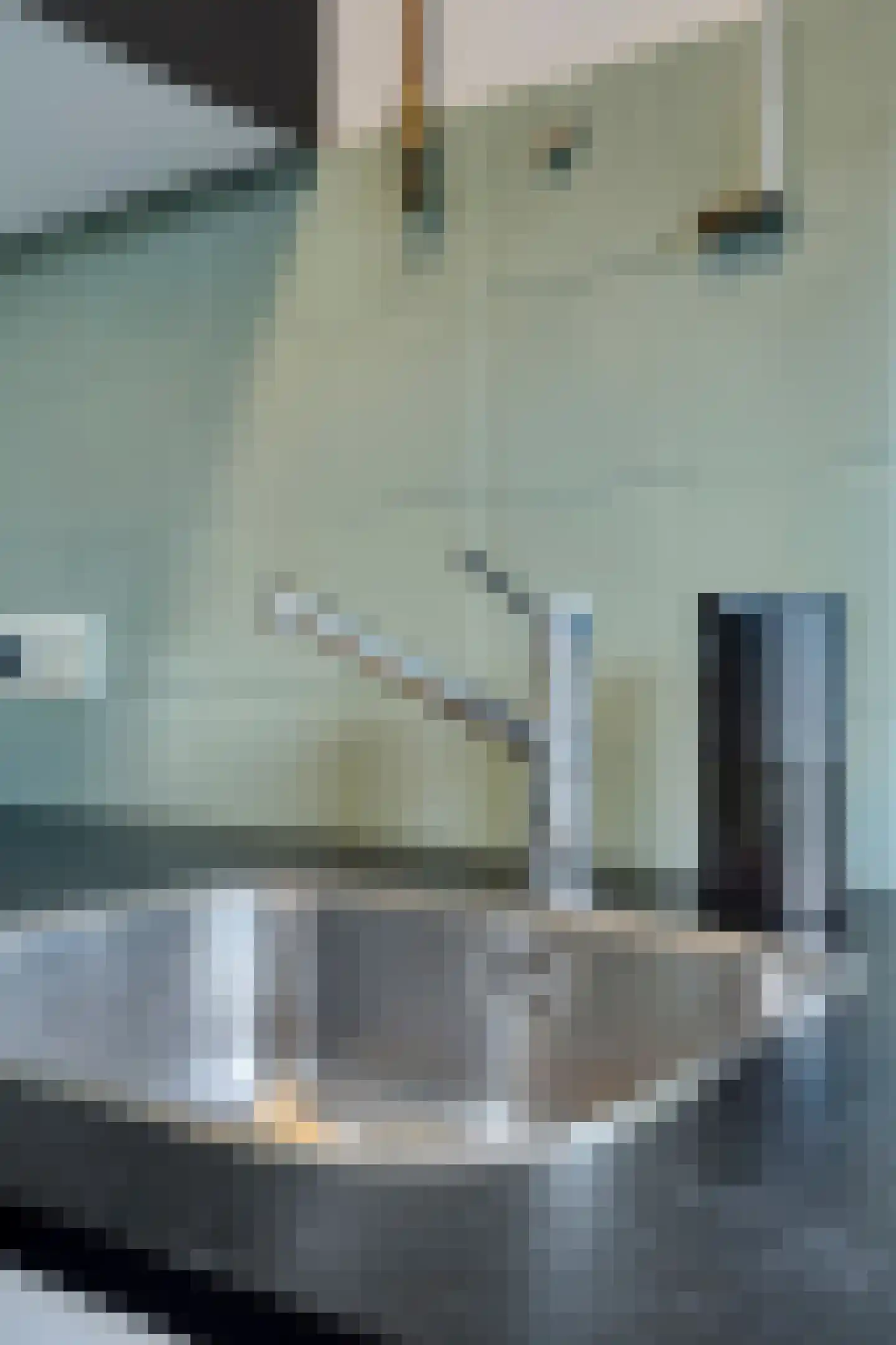 Jeroen Boschlaan 162 Eindhoven thumbnail 25