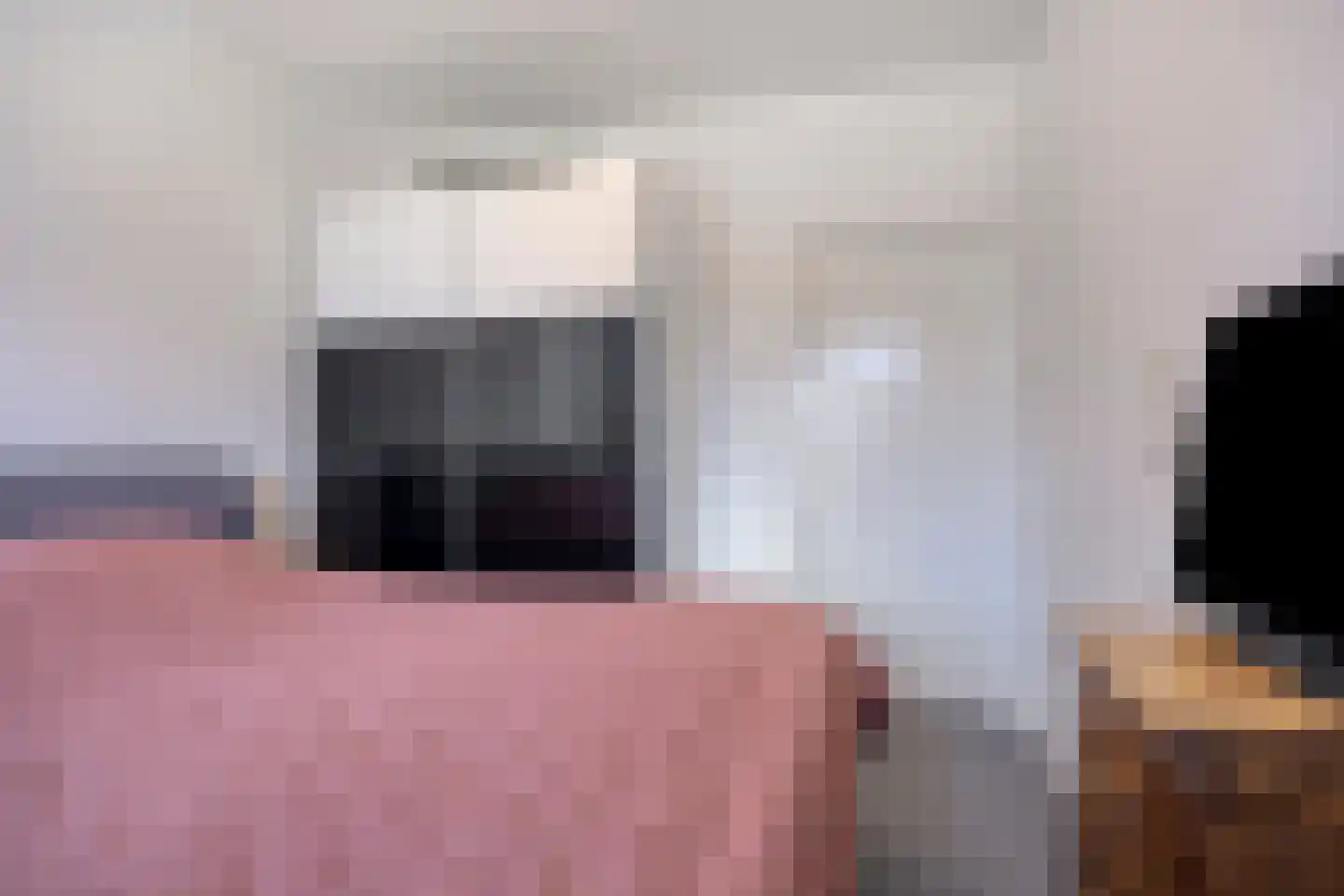 Jeroen Boschlaan 162 Eindhoven thumbnail 33