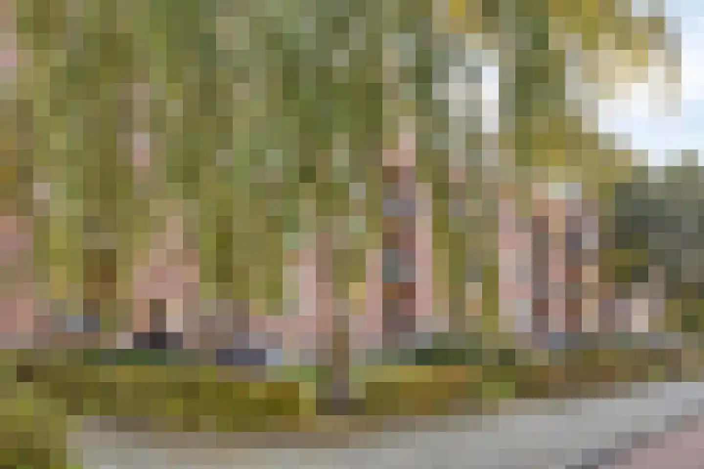 Jeroen Boschlaan 175 Eindhoven thumbnail 34