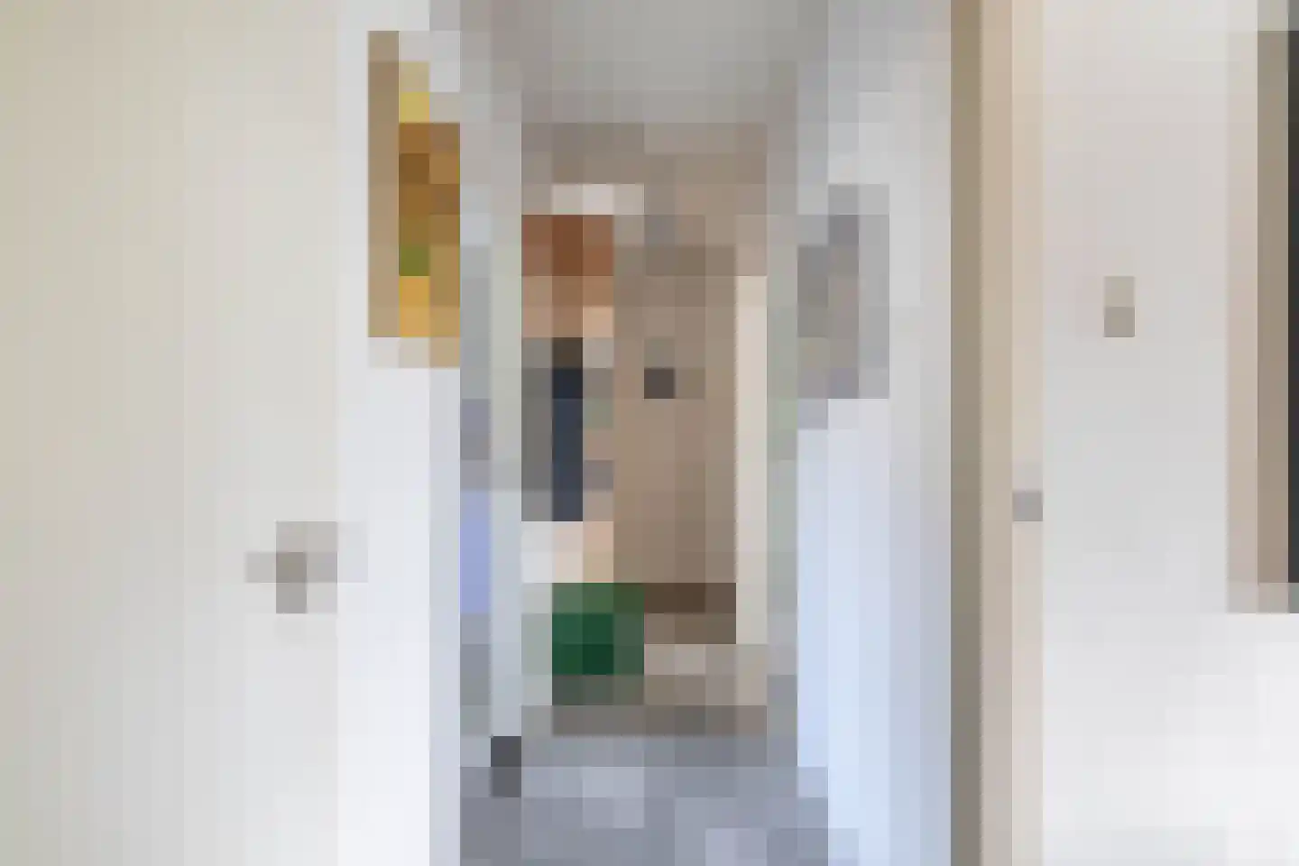 Jeroen Boschlaan 184 Eindhoven thumbnail 16