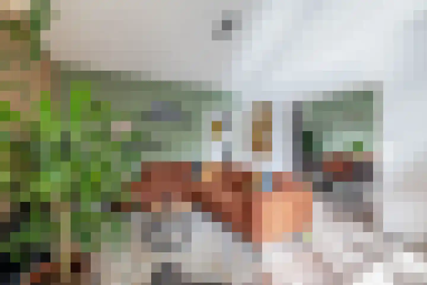 Jeroen Boschlaan 184 Eindhoven thumbnail 19