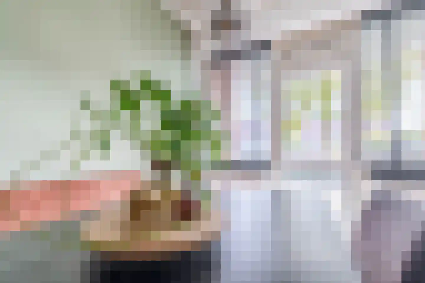 Jeroen Boschlaan 184 Eindhoven thumbnail 22
