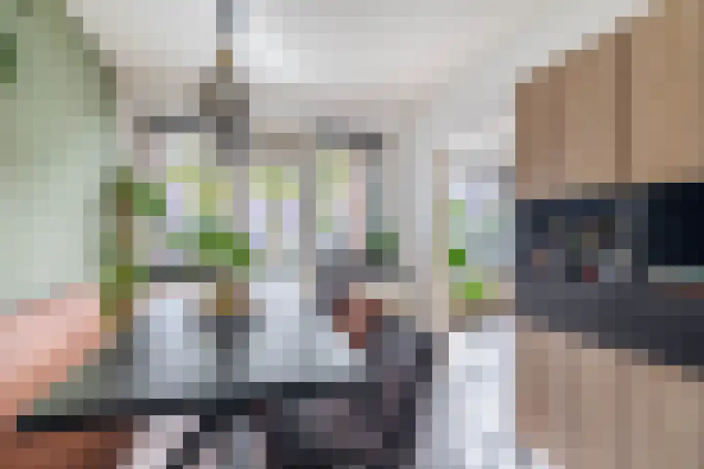 Jeroen Boschlaan 184 Eindhoven thumbnail 23