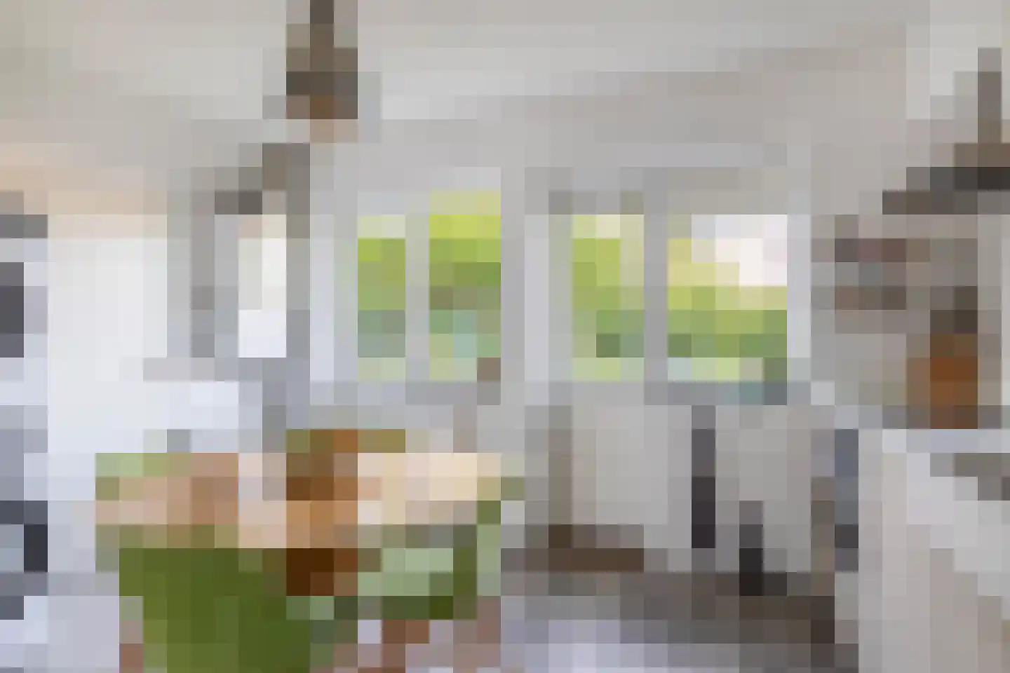 Jeroen Boschlaan 184 Eindhoven thumbnail 29