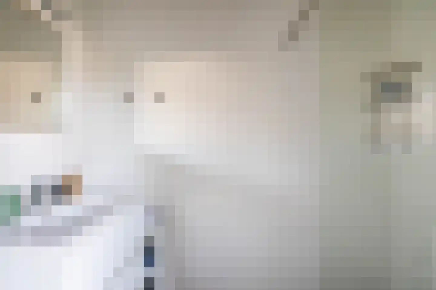 Jeroen Boschlaan 184 Eindhoven thumbnail 32