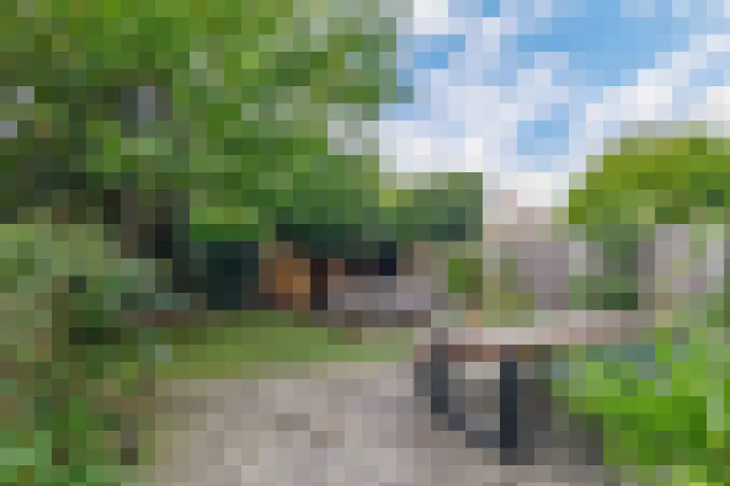 Jeroen Boschlaan 184 Eindhoven thumbnail 38