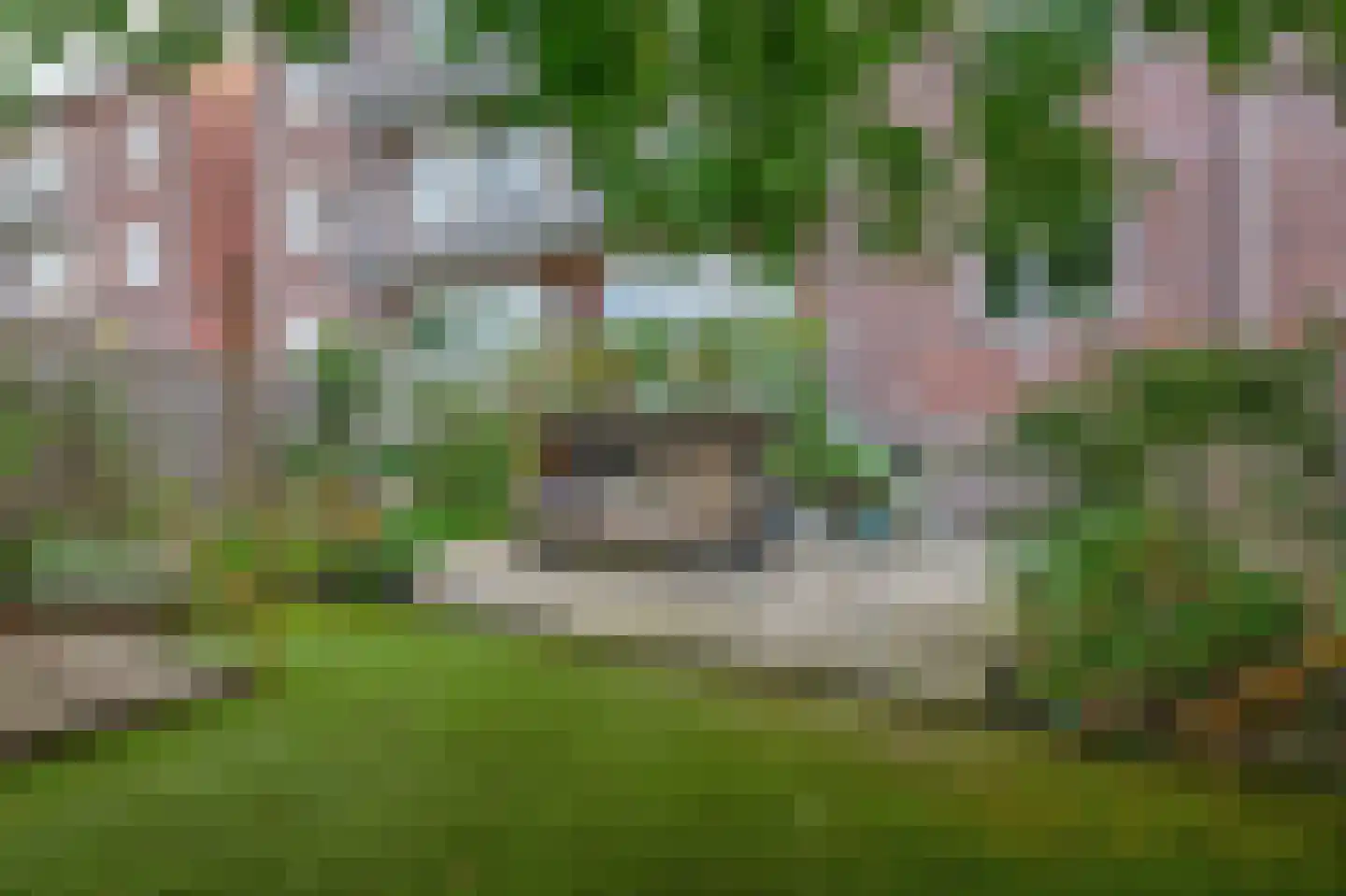 Jeroen Boschlaan 184 Eindhoven thumbnail 39
