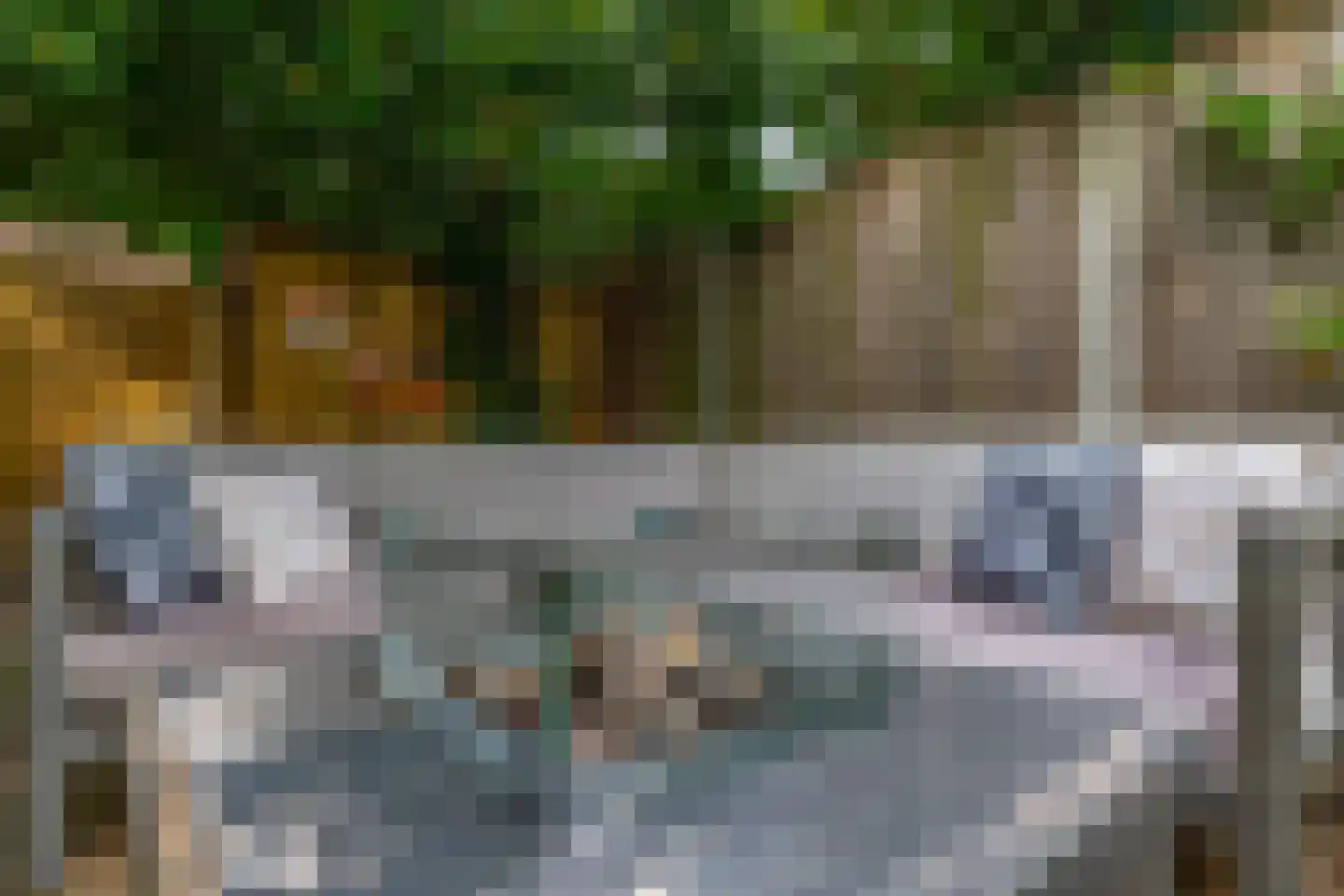 Jeroen Boschlaan 184 Eindhoven thumbnail 41