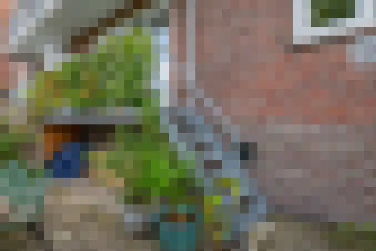 Jeroen Boschlaan 184 Eindhoven thumbnail 45