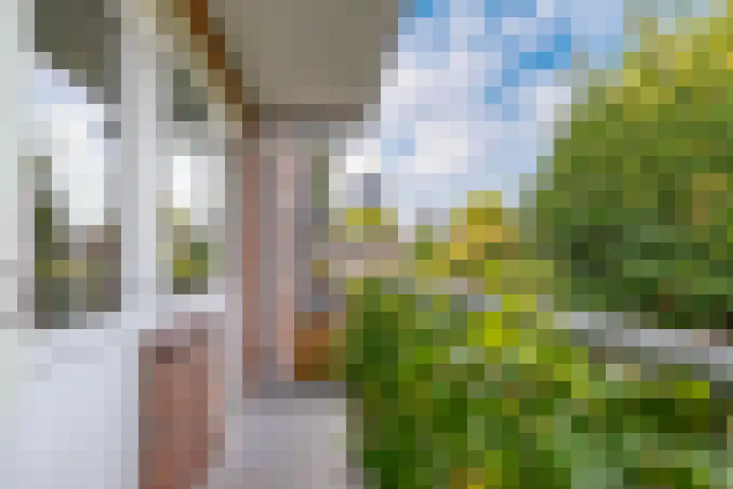 Jeroen Boschlaan 184 Eindhoven thumbnail 46