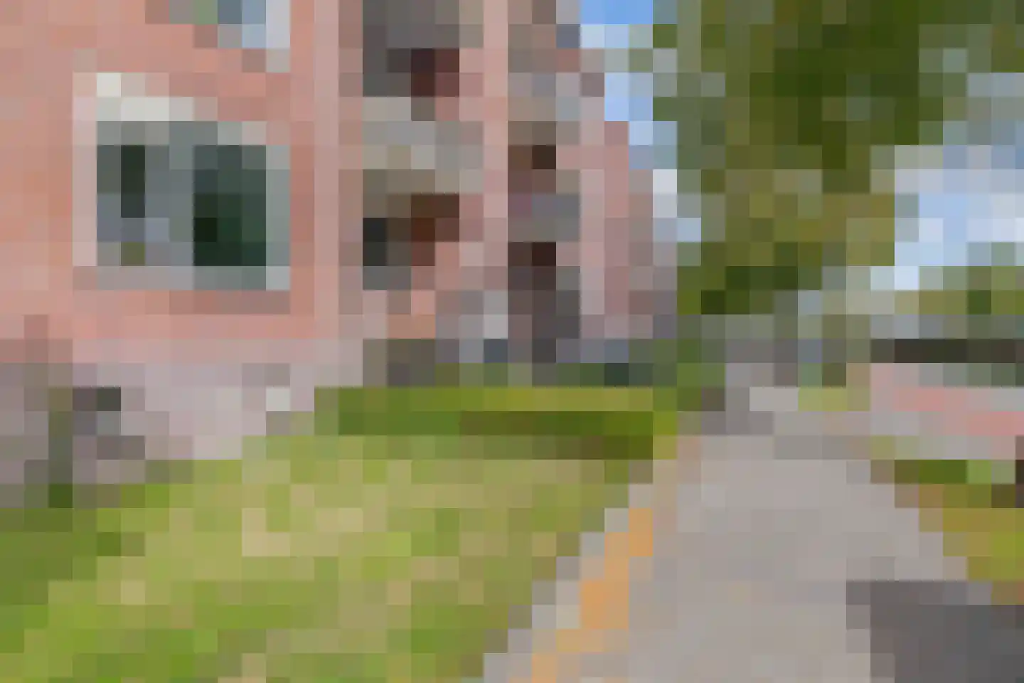 Jeroen Boschlaan 184 Eindhoven thumbnail 49