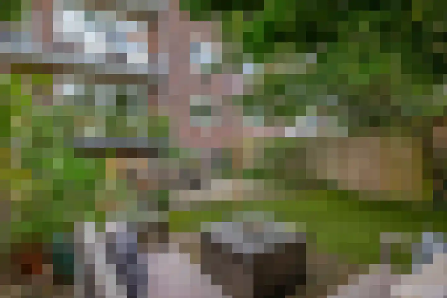 Jeroen Boschlaan 184 Eindhoven thumbnail 5