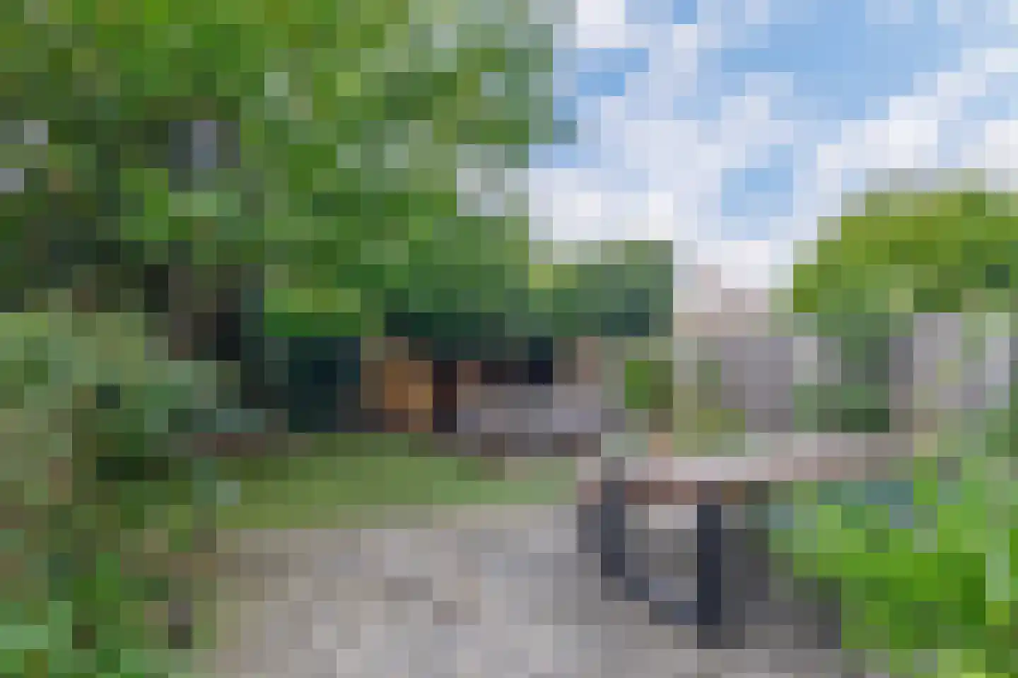 Jeroen Boschlaan 184 Eindhoven thumbnail 8