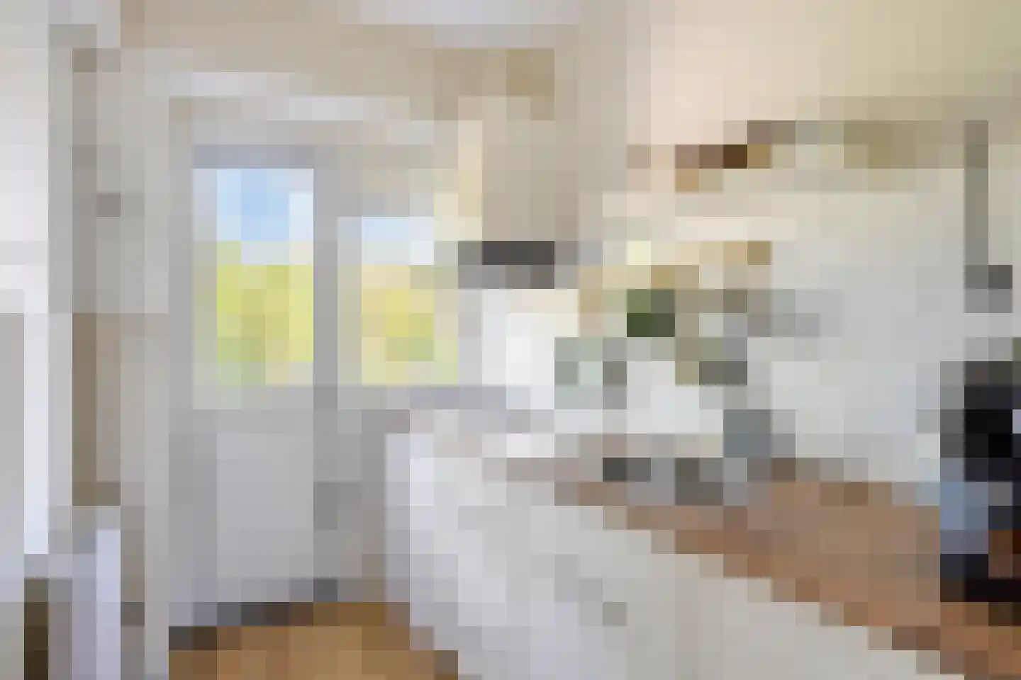 Jeroen Boschlaan 193 Eindhoven thumbnail 12