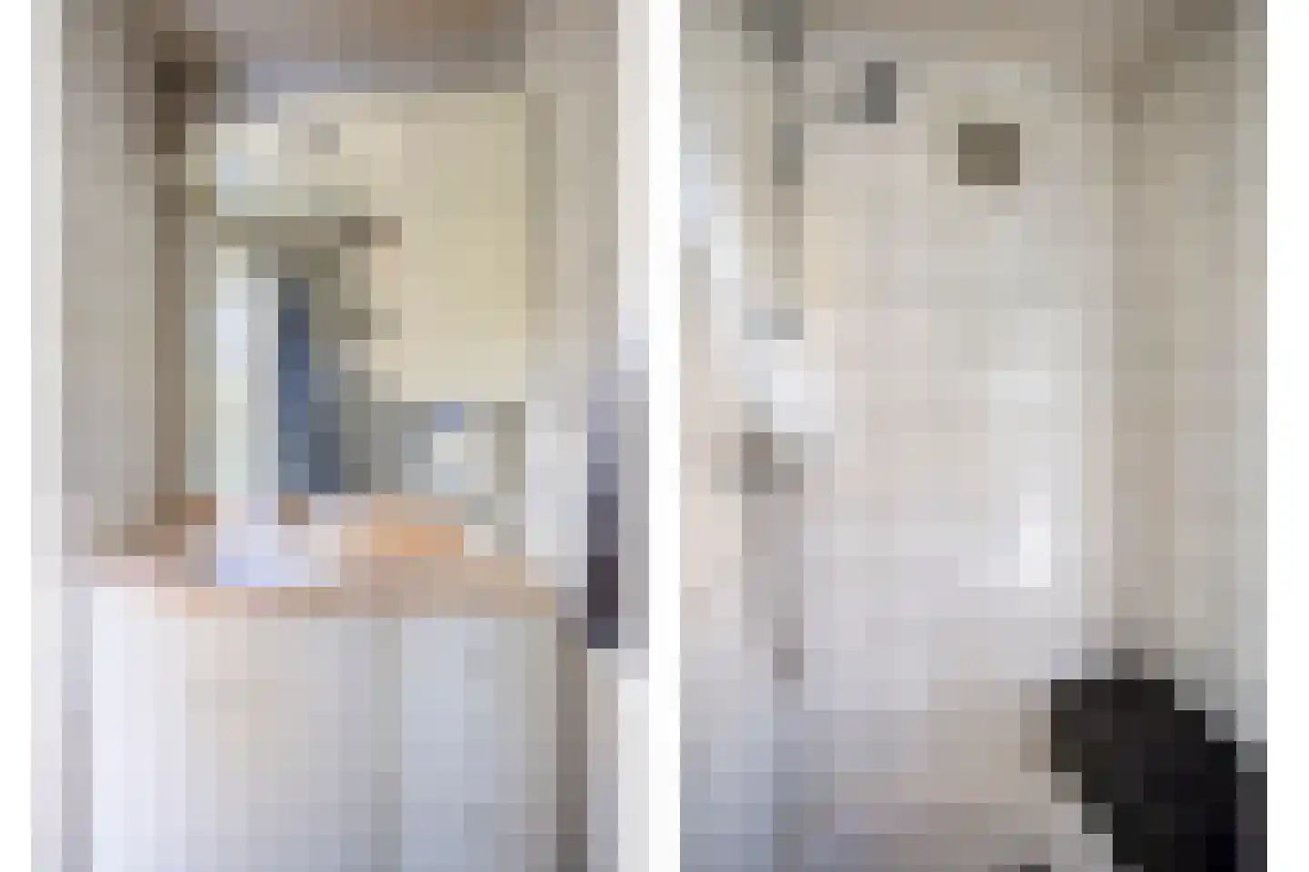 Jeroen Boschlaan 193 Eindhoven thumbnail 16