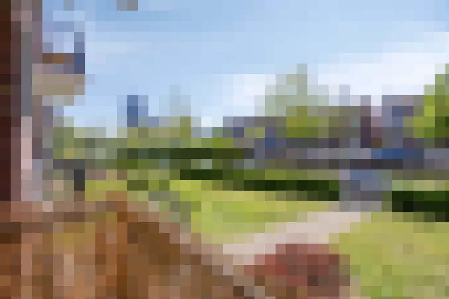 Jeroen Boschlaan 193 Eindhoven thumbnail 18