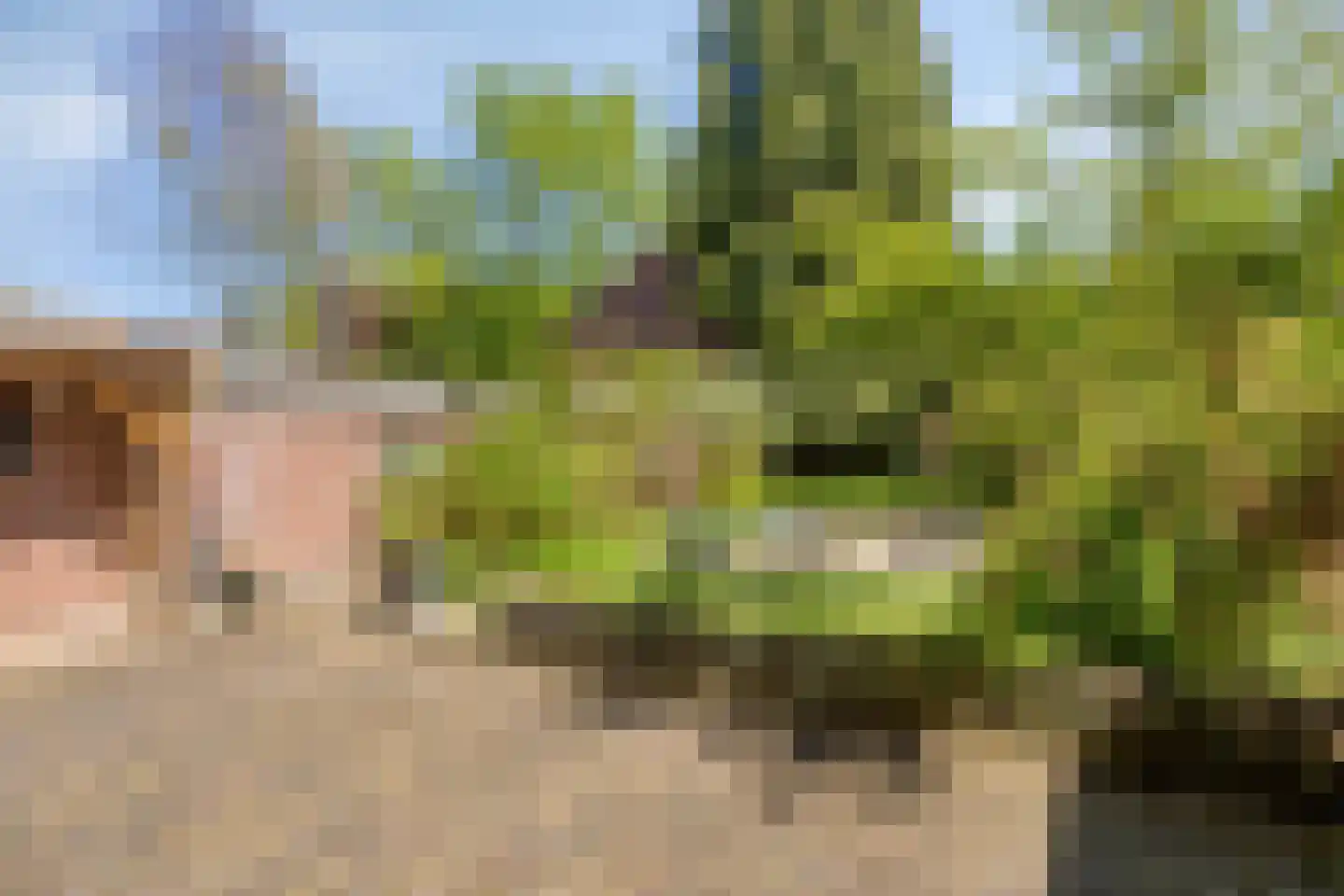 Jeroen Boschlaan 193 Eindhoven thumbnail 21