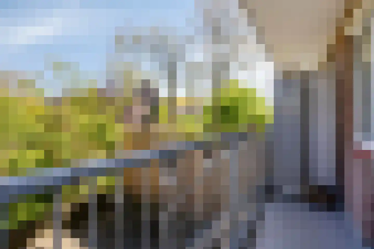 Jeroen Boschlaan 193 Eindhoven thumbnail 24