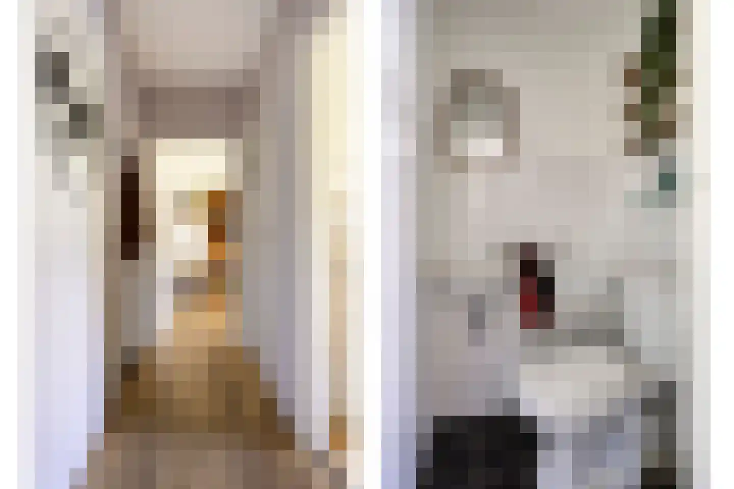 Jeroen Boschlaan 193 Eindhoven thumbnail 5