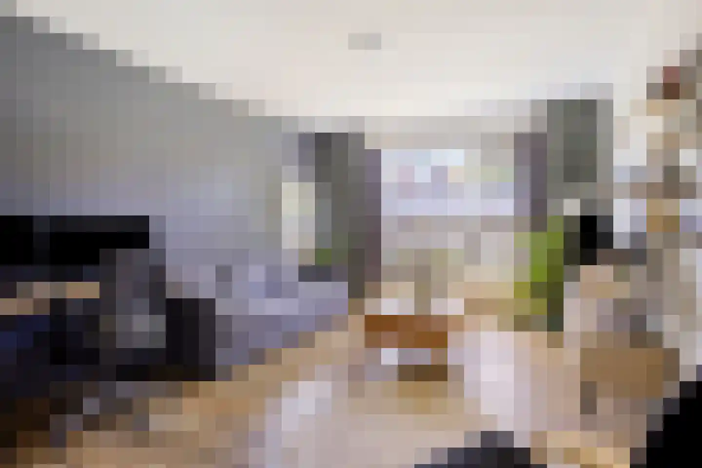 Jeroen Boschlaan 193 Eindhoven thumbnail 6