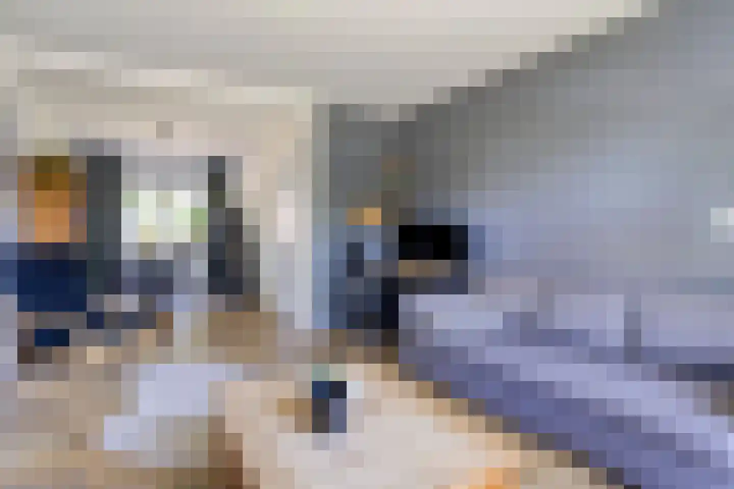 Jeroen Boschlaan 193 Eindhoven thumbnail 7