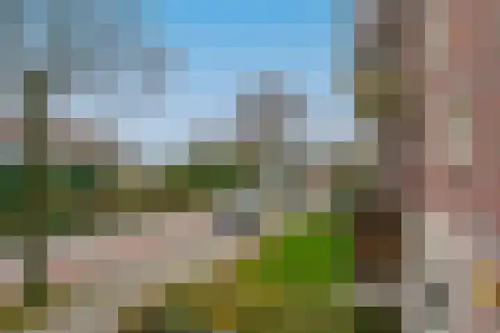 Jeroen Boschlaan 194 Eindhoven thumbnail 11