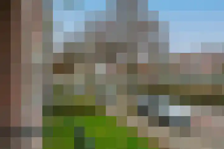 Jeroen Boschlaan 194 Eindhoven thumbnail 12