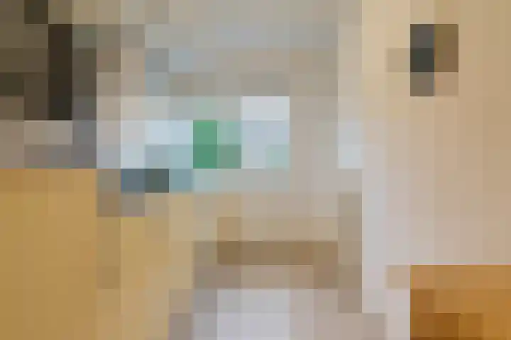 Jeroen Boschlaan 194 Eindhoven thumbnail 14