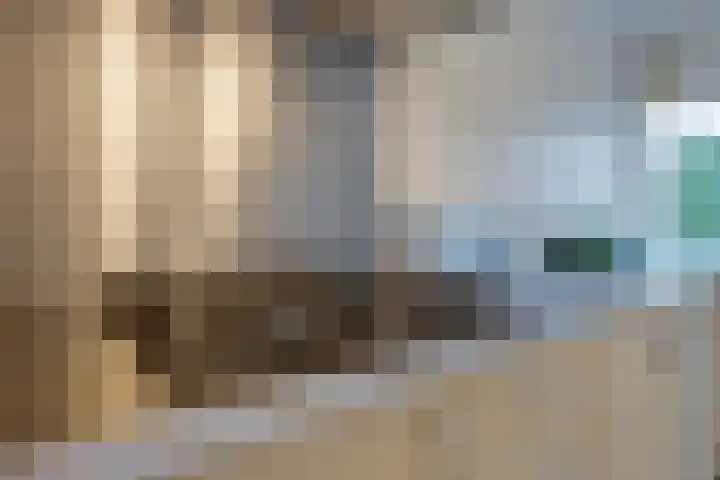 Jeroen Boschlaan 194 Eindhoven thumbnail 16