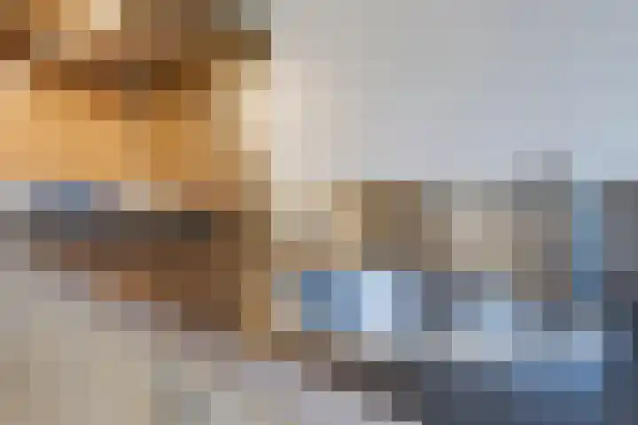 Jeroen Boschlaan 194 Eindhoven thumbnail 17