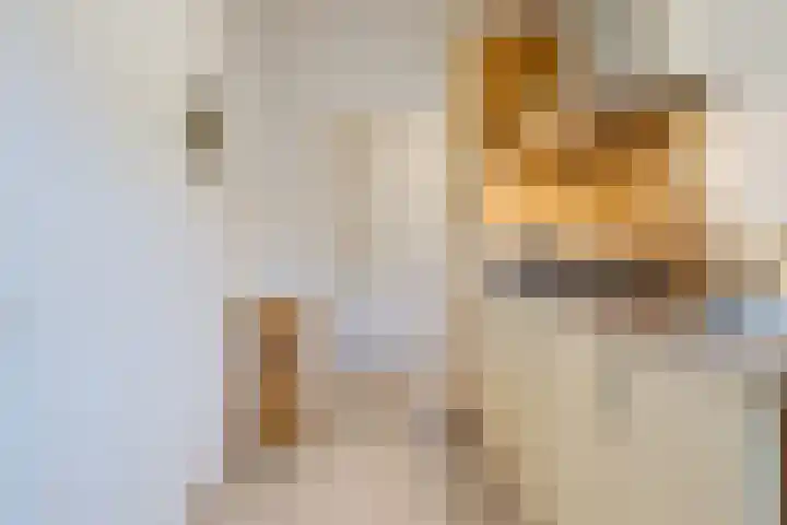 Jeroen Boschlaan 194 Eindhoven thumbnail 19