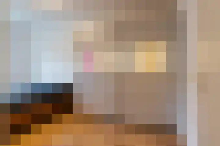 Jeroen Boschlaan 194 Eindhoven thumbnail 21