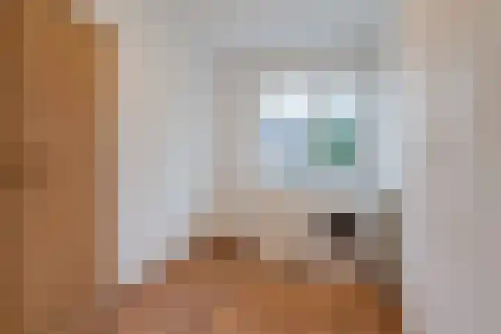 Jeroen Boschlaan 194 Eindhoven thumbnail 24