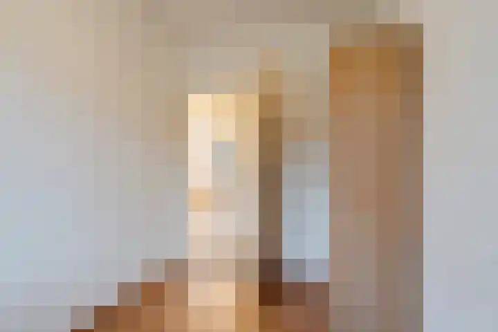Jeroen Boschlaan 194 Eindhoven thumbnail 25