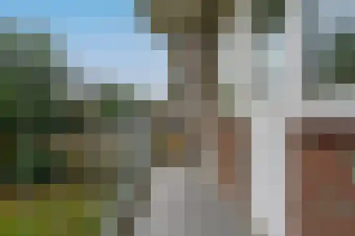 Jeroen Boschlaan 194 Eindhoven thumbnail 34