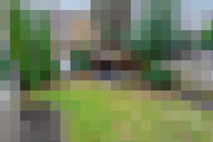 Jeroen Boschlaan 194 Eindhoven thumbnail 35