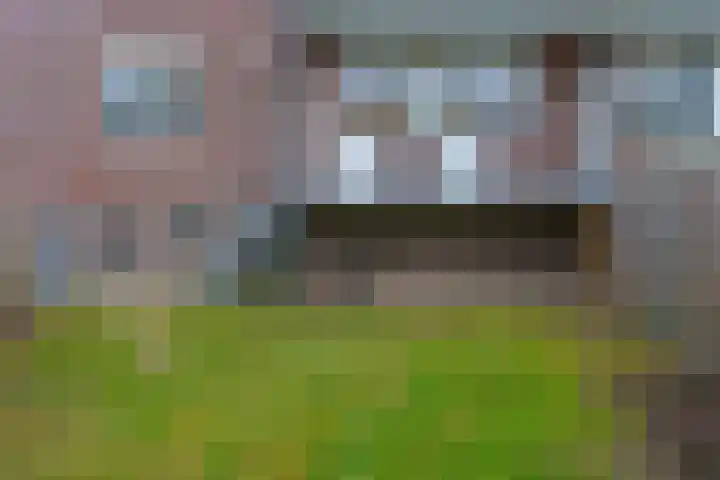 Jeroen Boschlaan 194 Eindhoven thumbnail 36