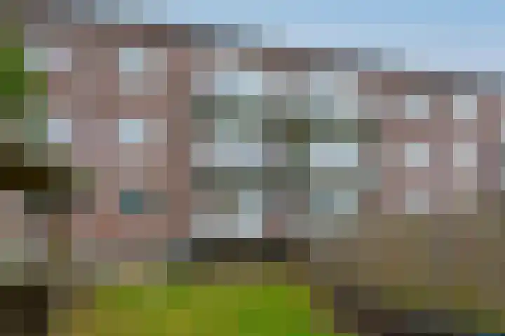 Jeroen Boschlaan 194 Eindhoven thumbnail 37