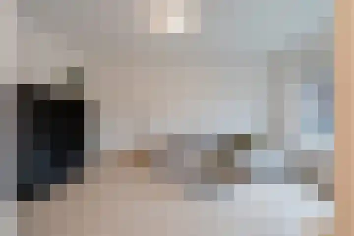 Jeroen Boschlaan 194 Eindhoven thumbnail 8