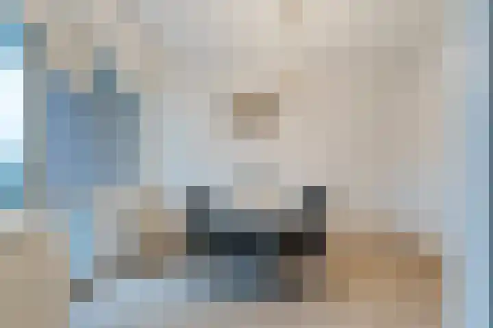 Jeroen Boschlaan 194 Eindhoven thumbnail 9