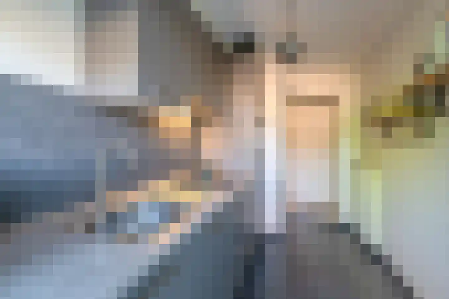 Jeroen Boschlaan 196 Eindhoven thumbnail 11