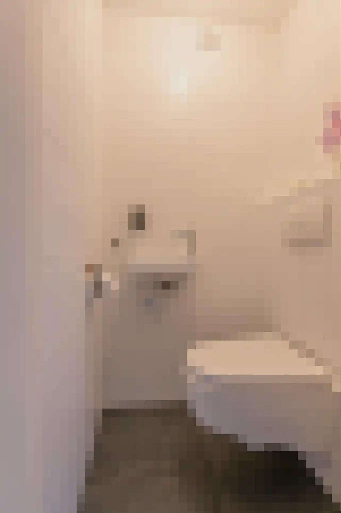Jeroen Boschlaan 196 Eindhoven thumbnail 5